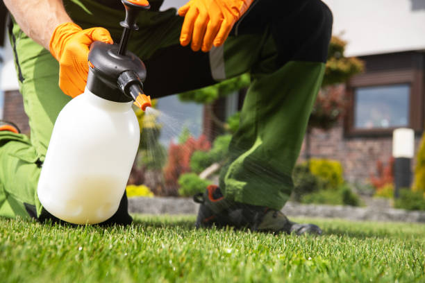 Best Pest Control Treatment  in Bromley, KY