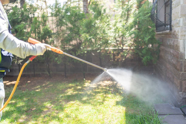 Best Residential Pest Control  in Bromley, KY